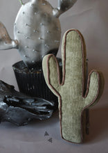 Kick A Cactus