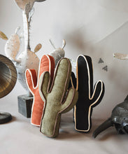 Kick A Cactus