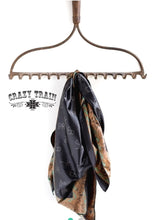 Wild Whip Rags- Brands